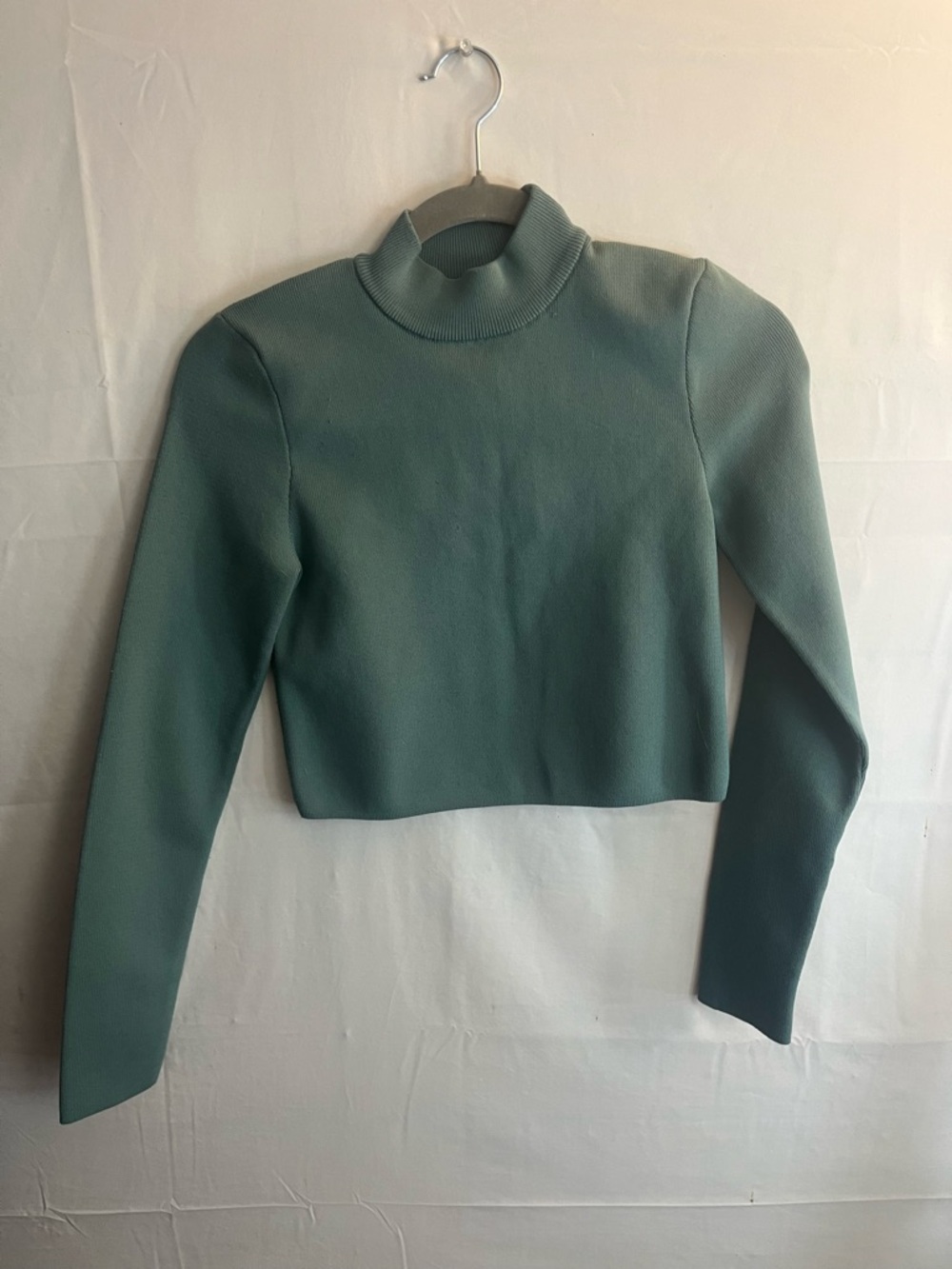 Forever 21 Cropped Mock Neck Long Sleeve Top - Sage